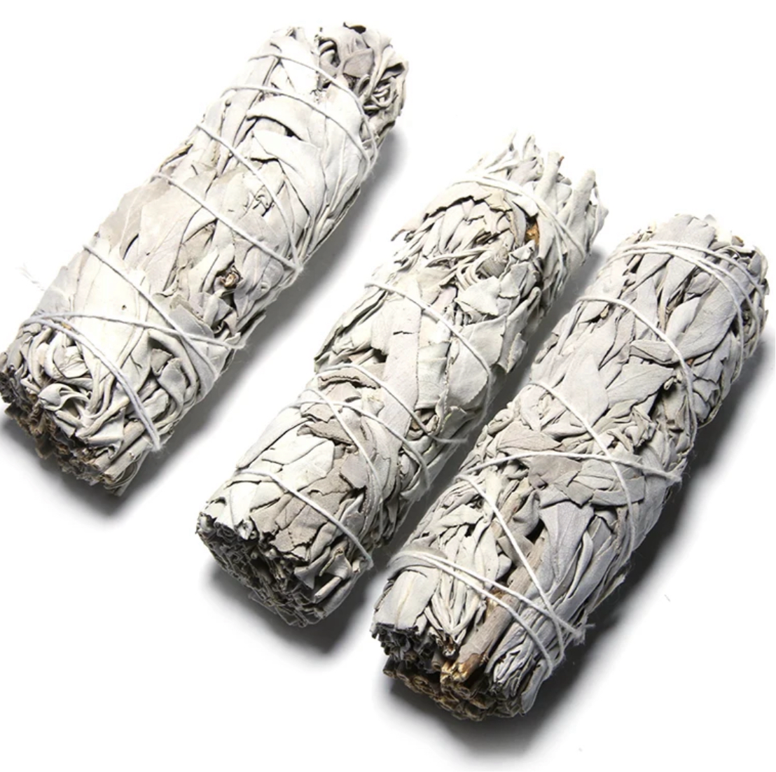 Marine Sage