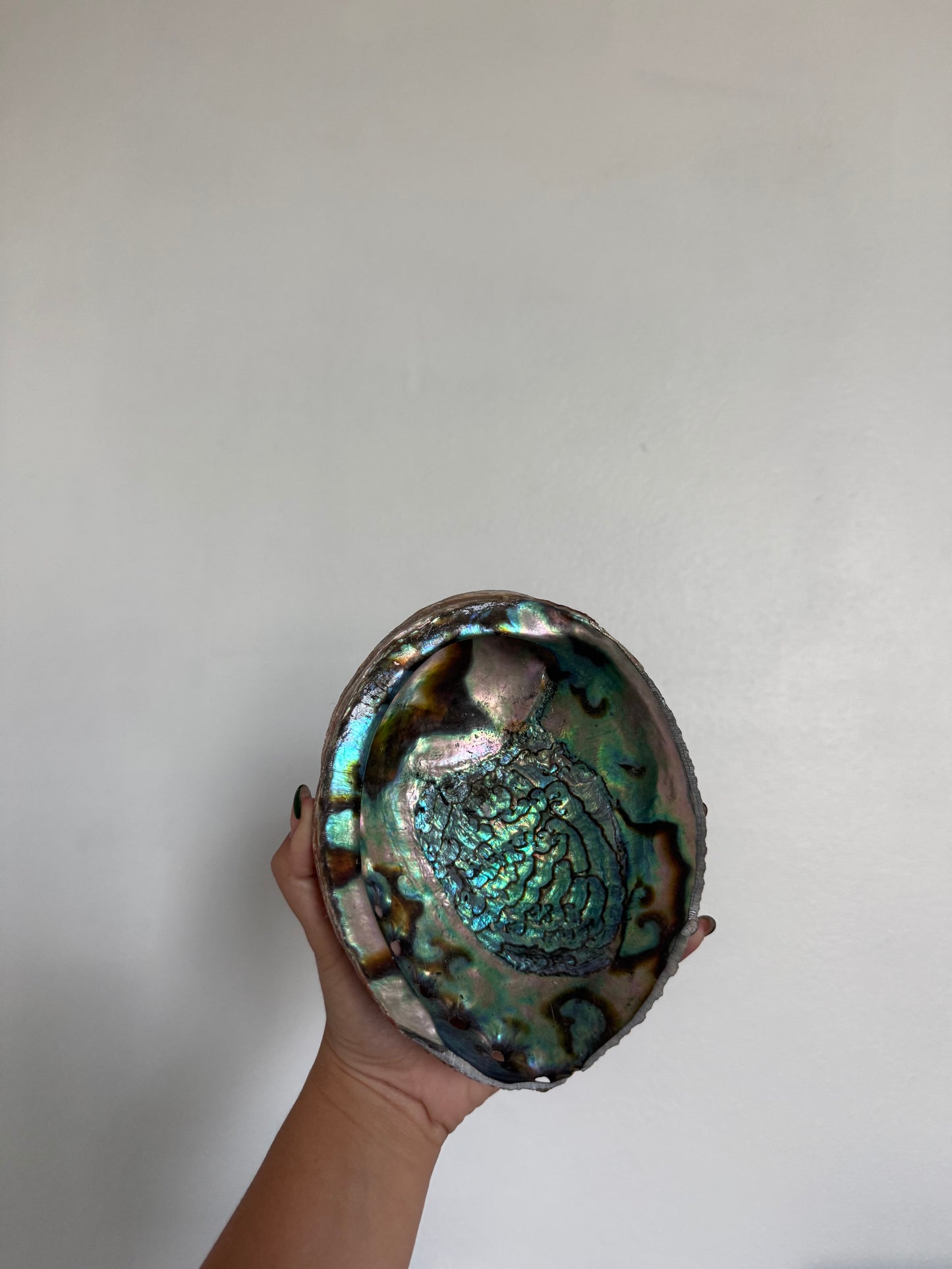 Abalone Shell Smudging Bowl