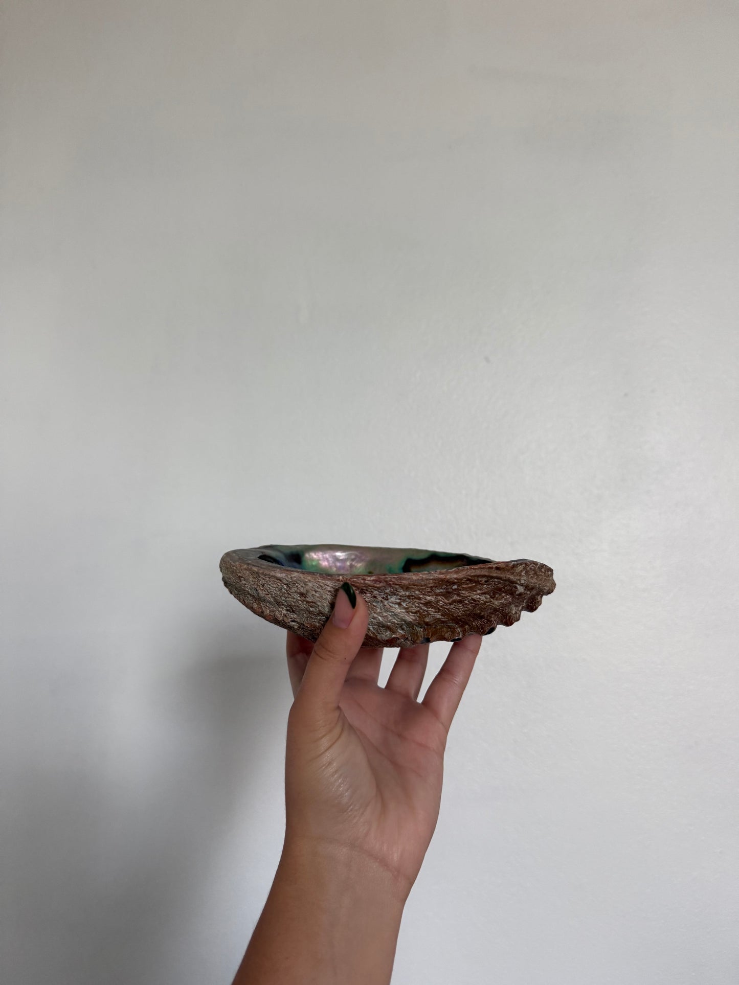 Abalone Shell Smudging Bowl